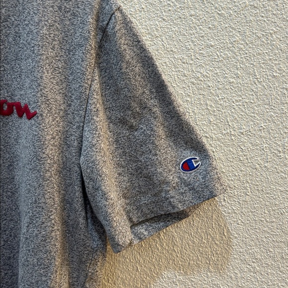 Champion Heritage Felt Lettering Signature Grey Crewneck T-Shirt Size Medium - Picture 5 of 8